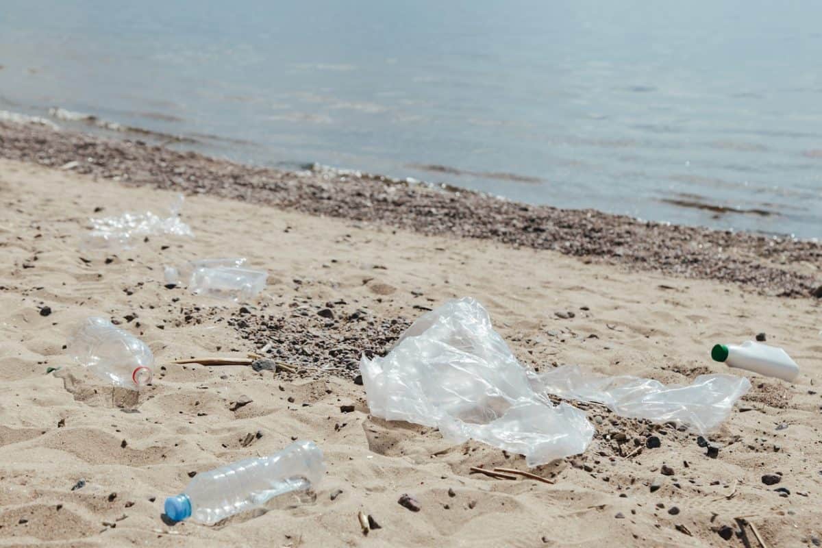 Ocean Plastic Pollution Facts 15 Facts Plastic Expert