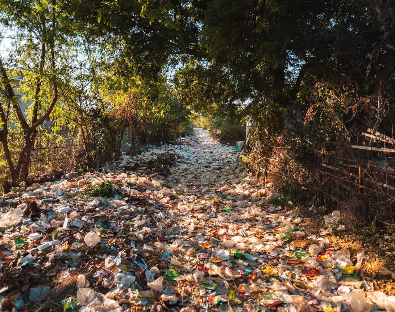 What Country Has The Most Litter 3 Locations Plastic Expert